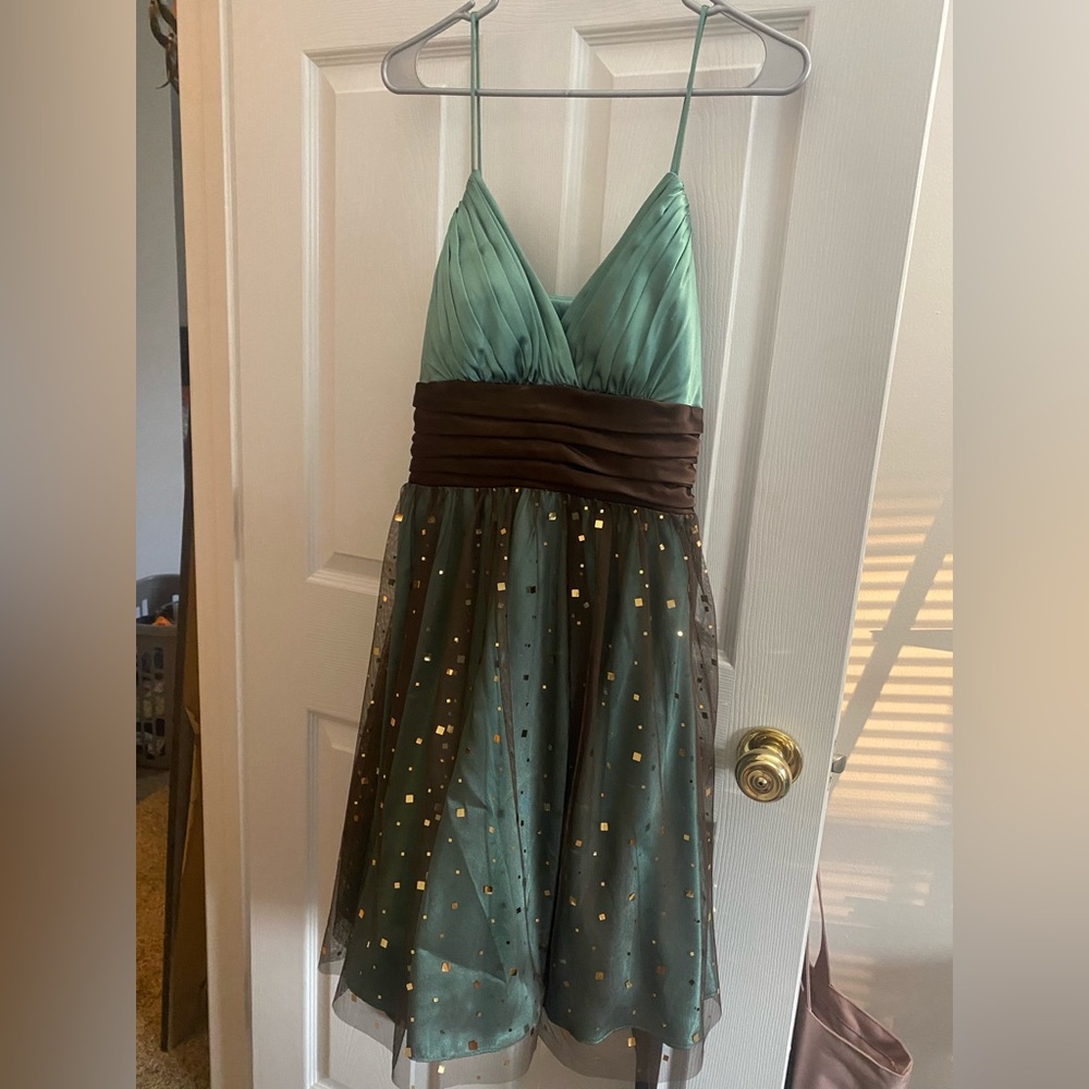 Mint Green and Brown Dress